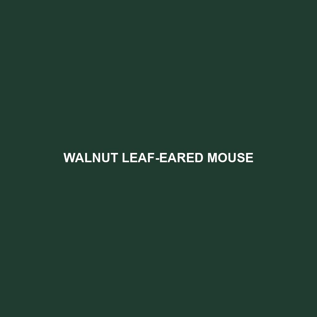 Walnut Leaf-eared Mouse