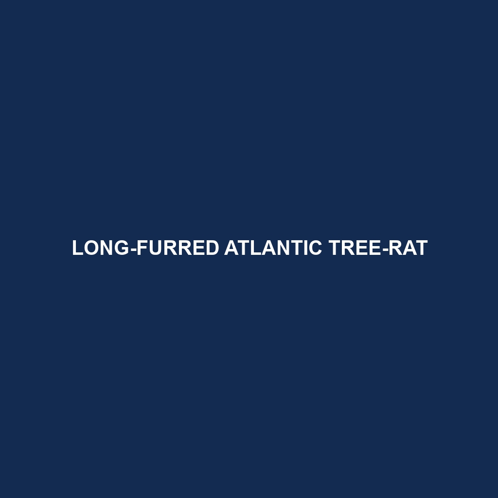 Long-furred Atlantic Tree-rat