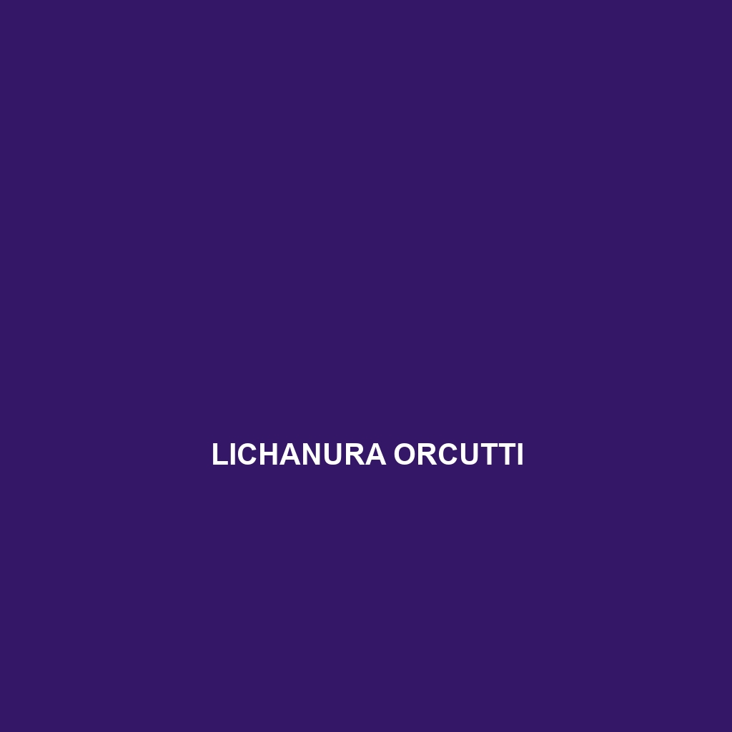 Lichanura orcutti