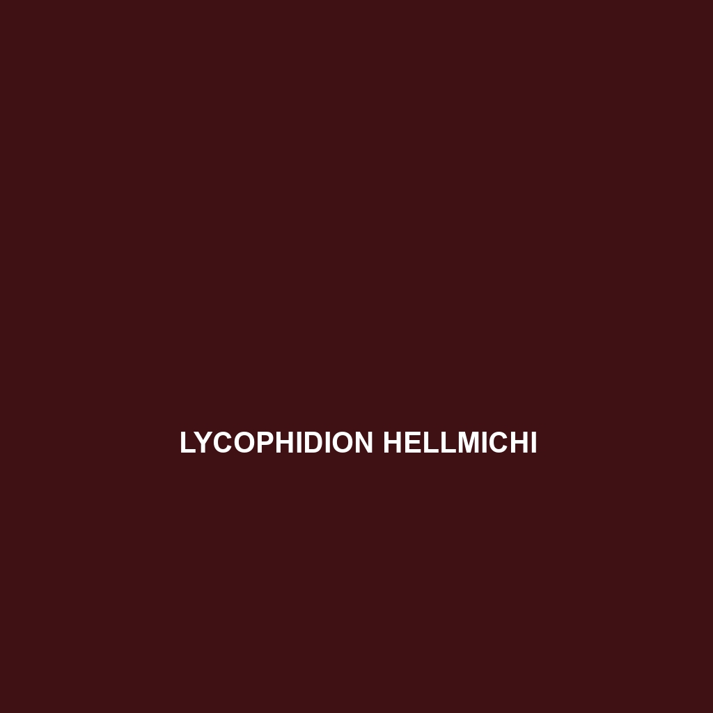 Lycophidion depressirostre