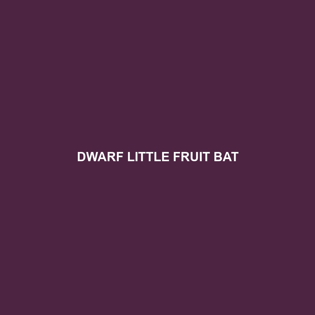 Dwarf Little Fruit Bat