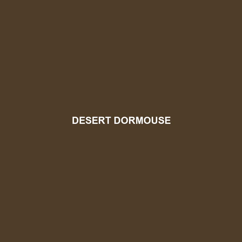 Desert Dormouse