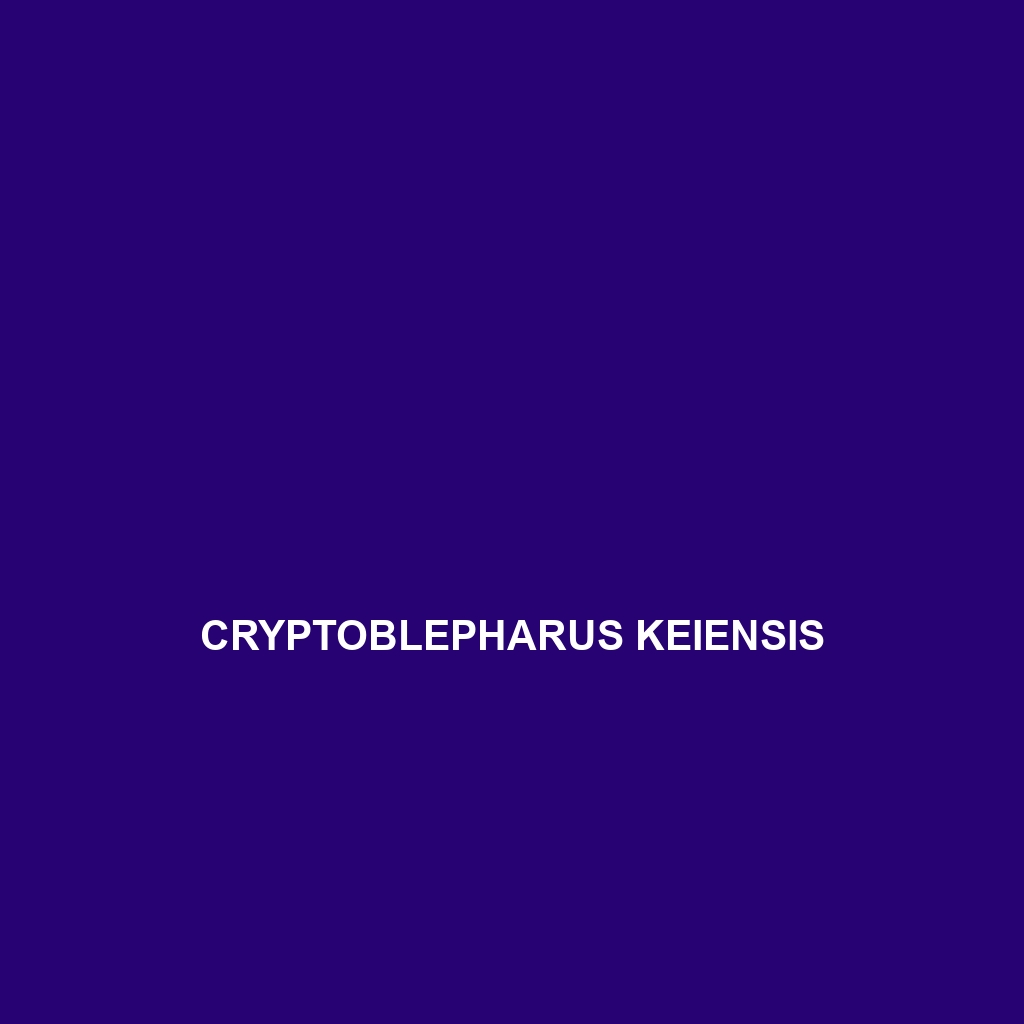 Cryptoblepharus juno