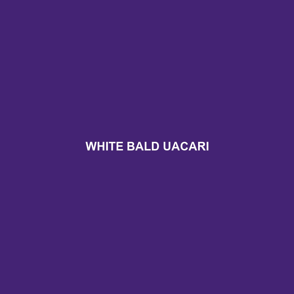 White Bald Uacari