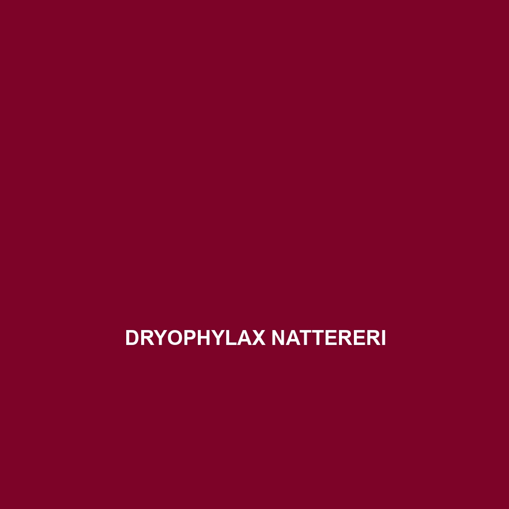 Dryophylax nattereri