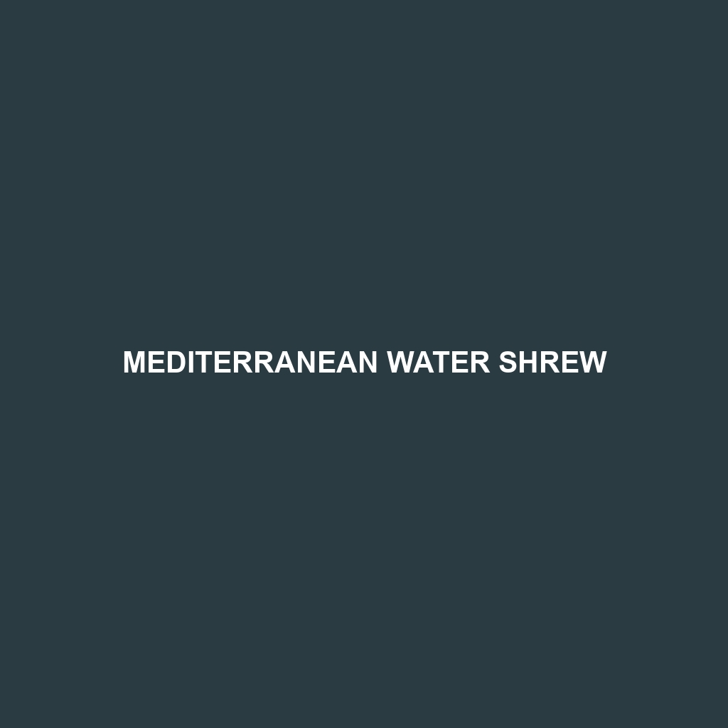 Mediterranean Water Shrew