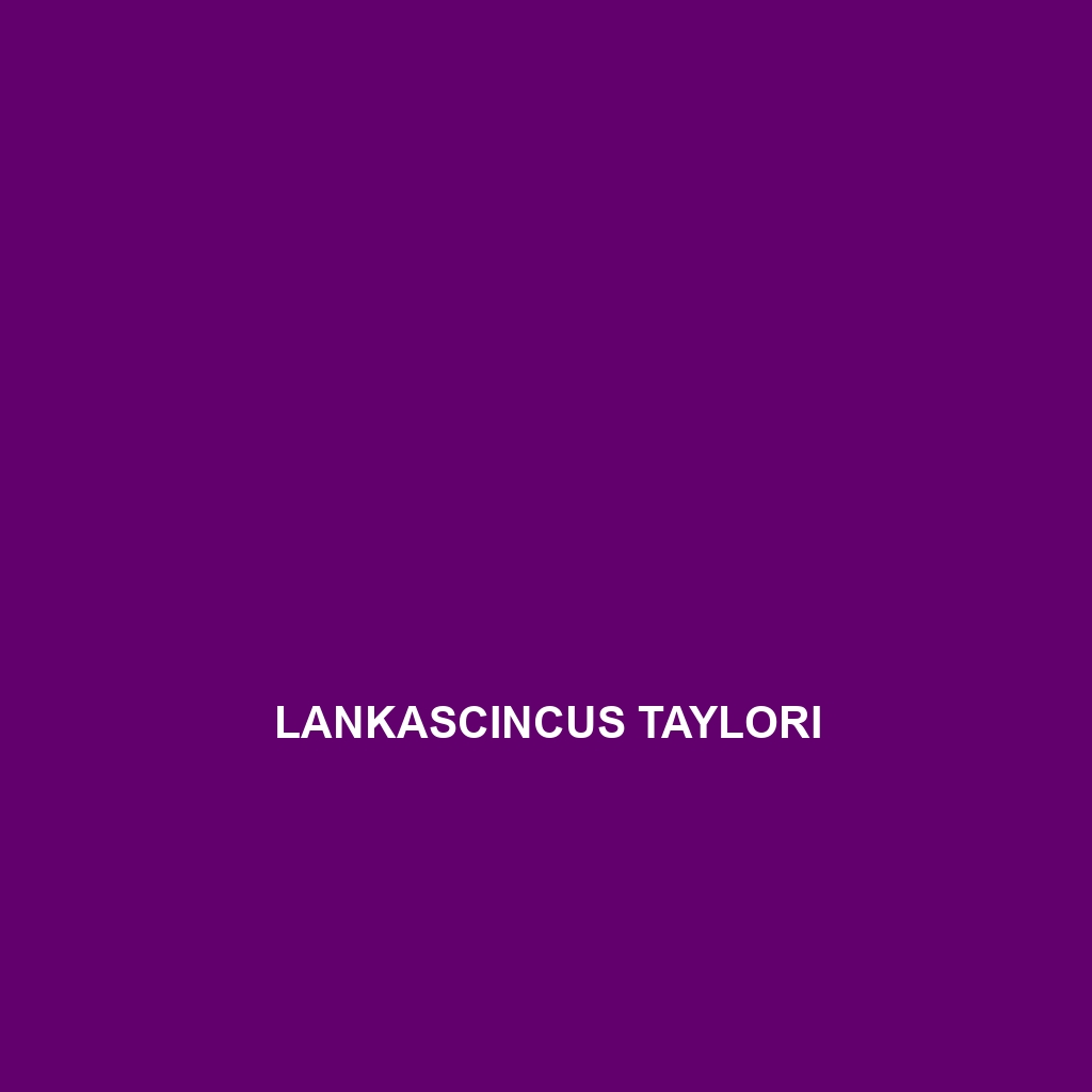 Lankascincus taylori