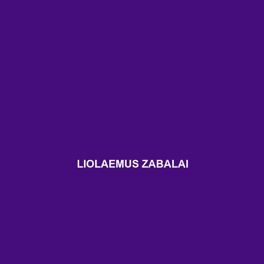 Liolaemus zabalai