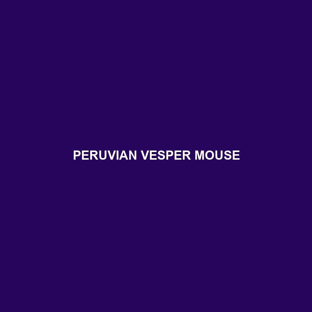 Peruvian Vesper Mouse