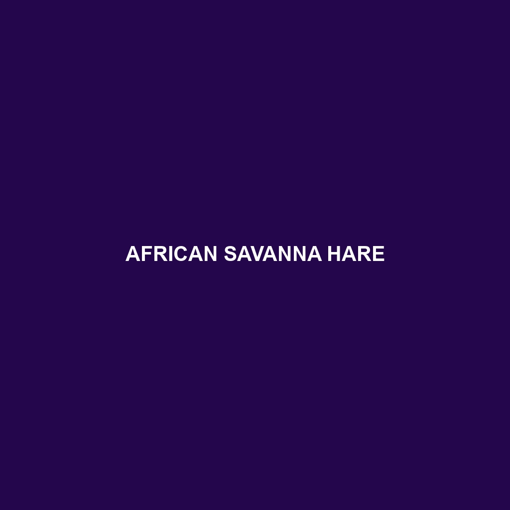 African Savanna Hare