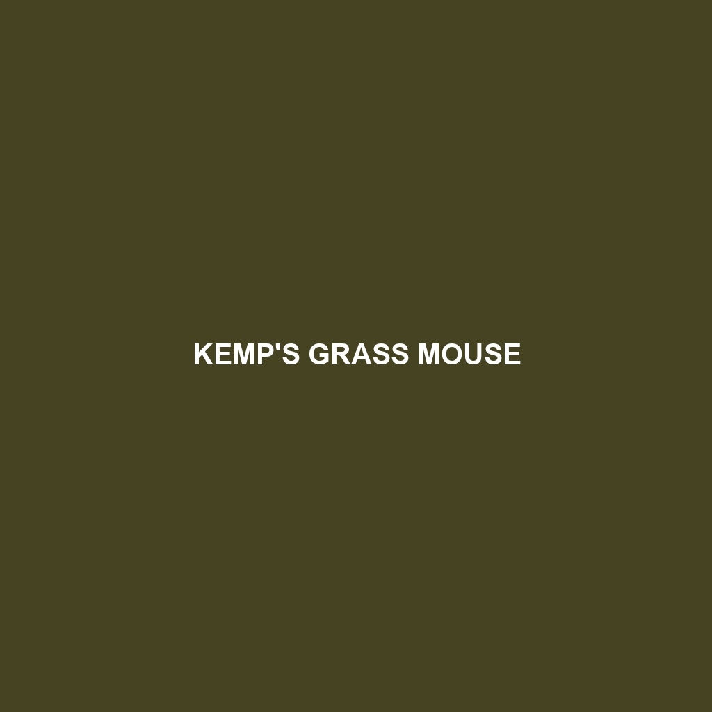 Kemp's Grass Mouse