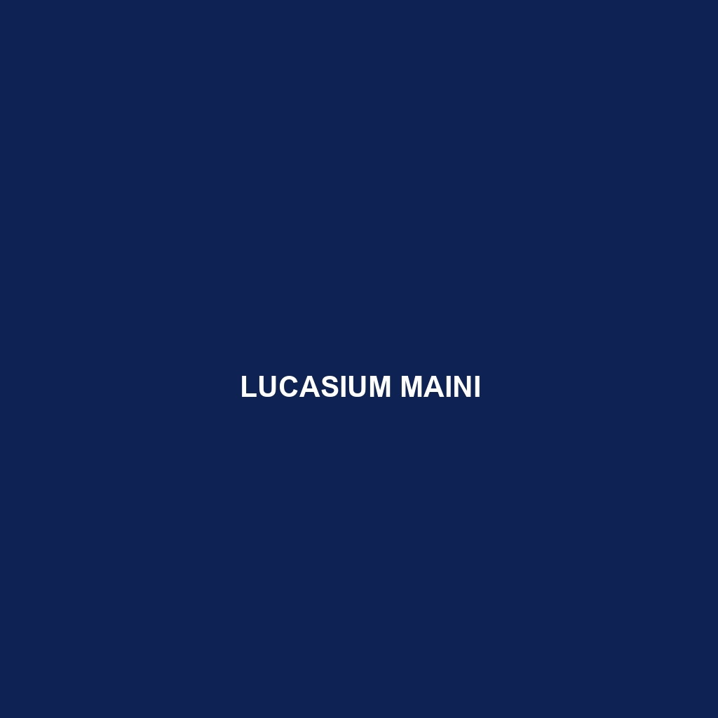 Lucasium maini