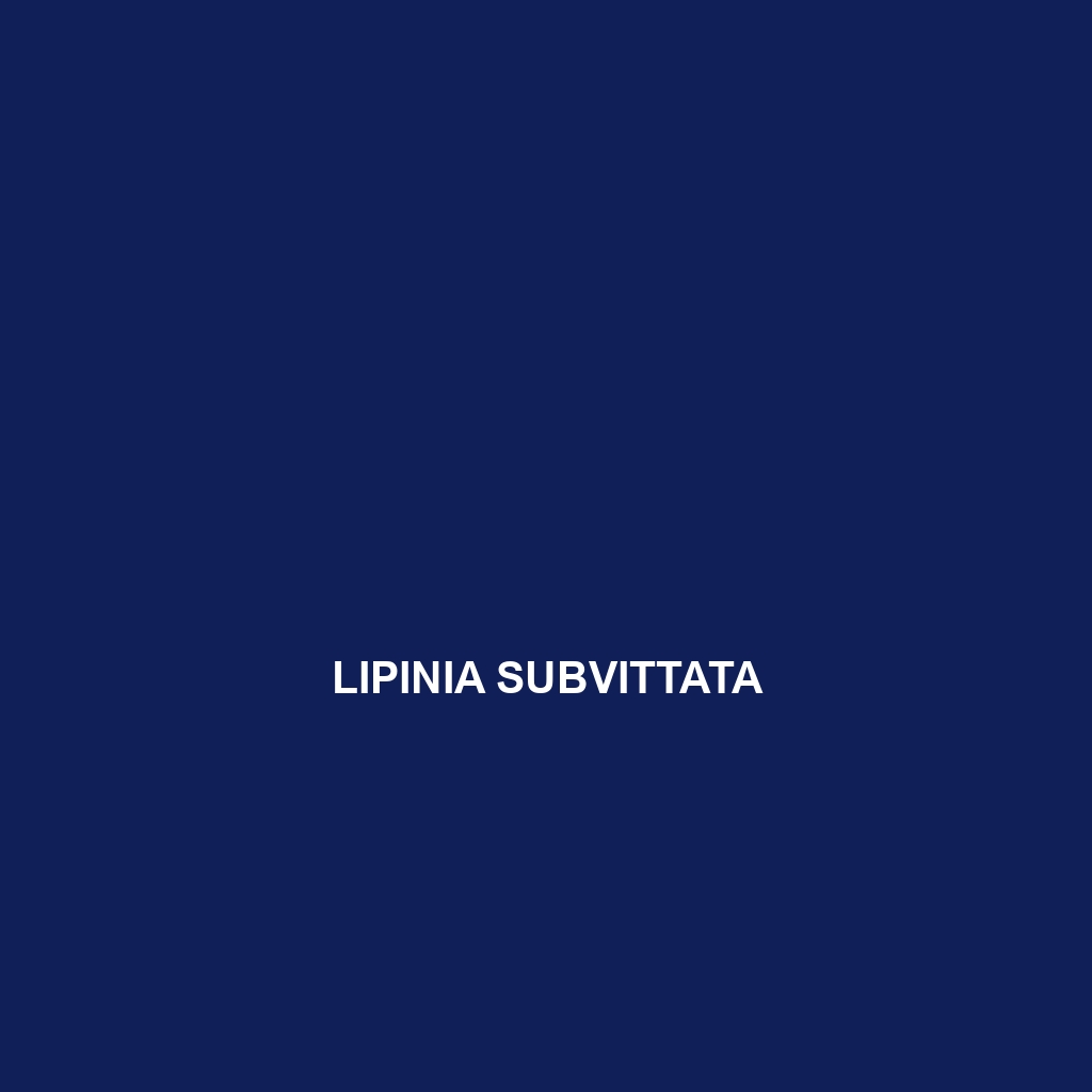 Lipinia subvittata