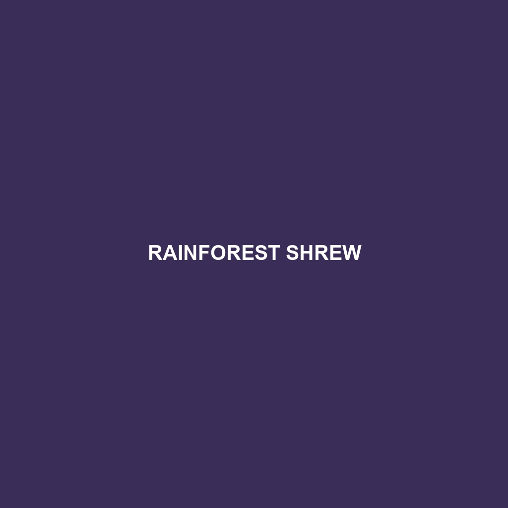 Rainforest Shrew