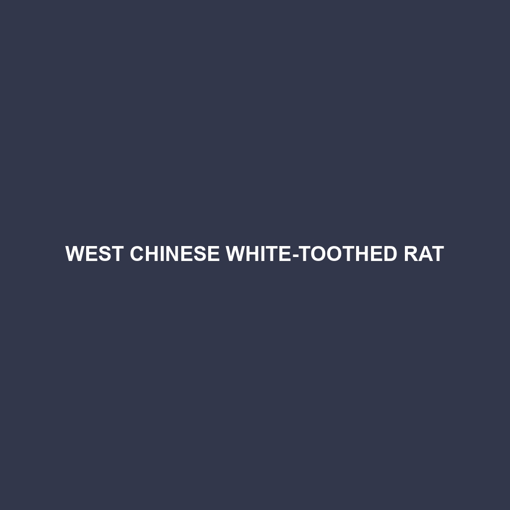 West Chinese White-toothed Rat