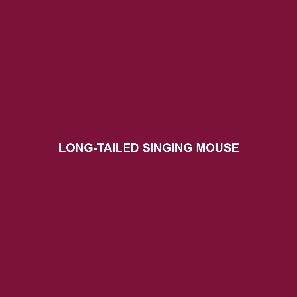 Long-tailed Singing Mouse