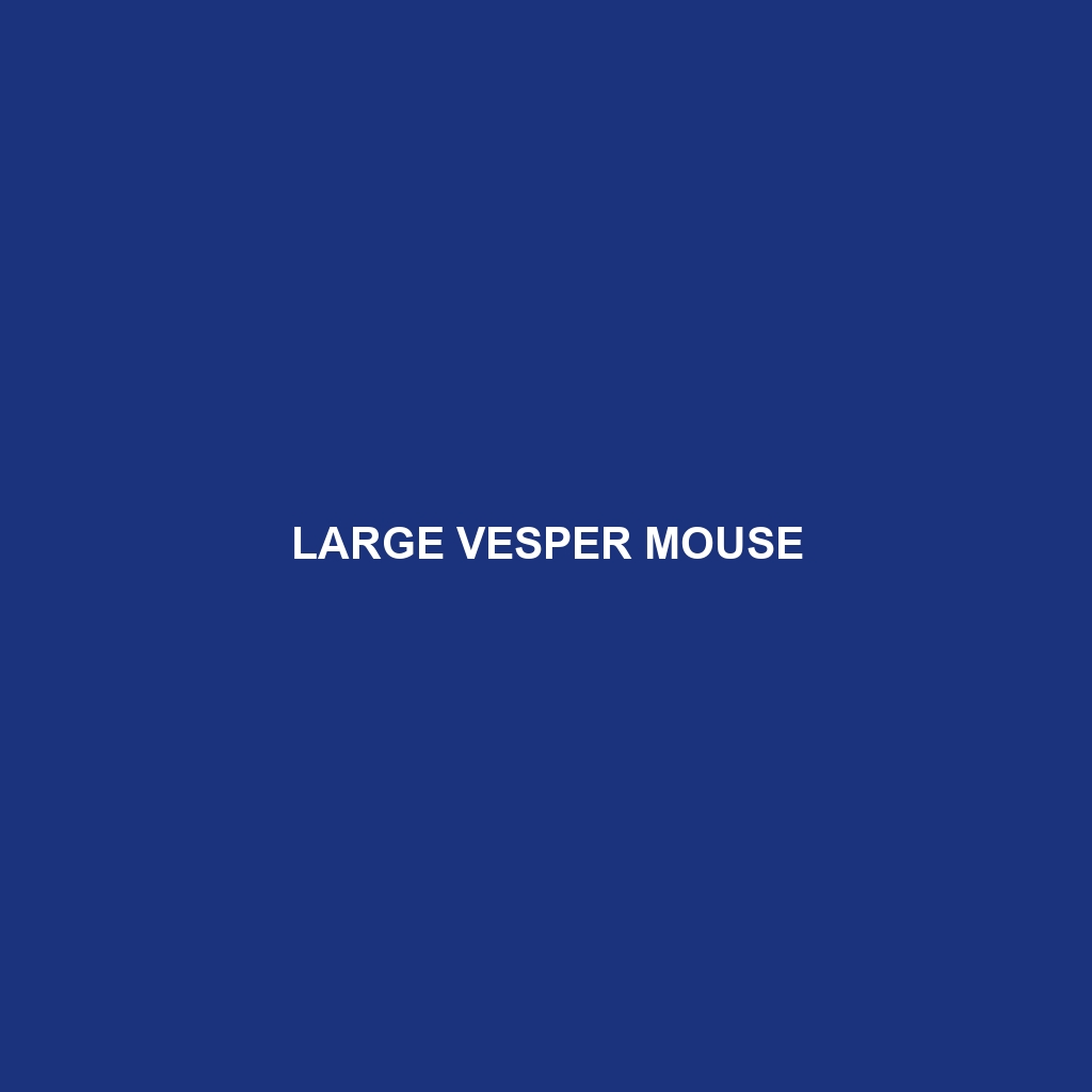 Large Vesper Mouse