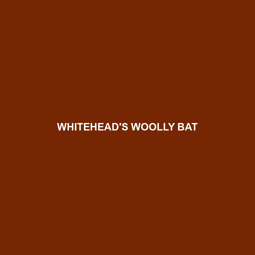 Whitehead's Woolly Bat