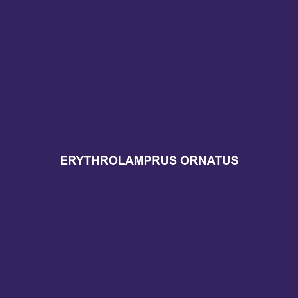 Erythrolamprus ornatus