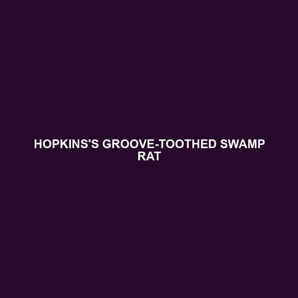 Hopkins's Groove-toothed Swamp Rat