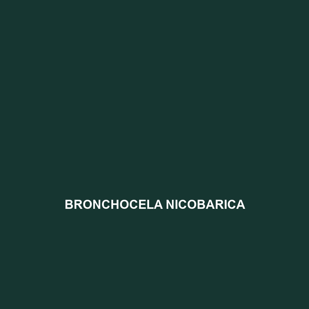 Bronchocela nicobarica