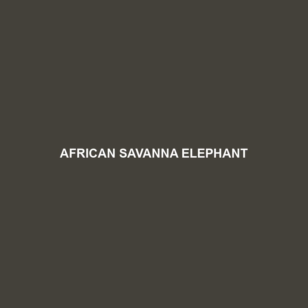 African Savanna Elephant