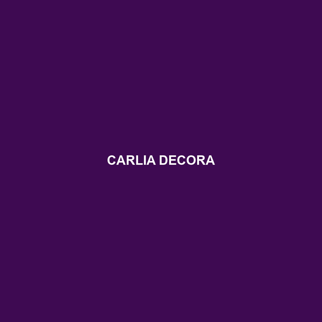 Carlia decora