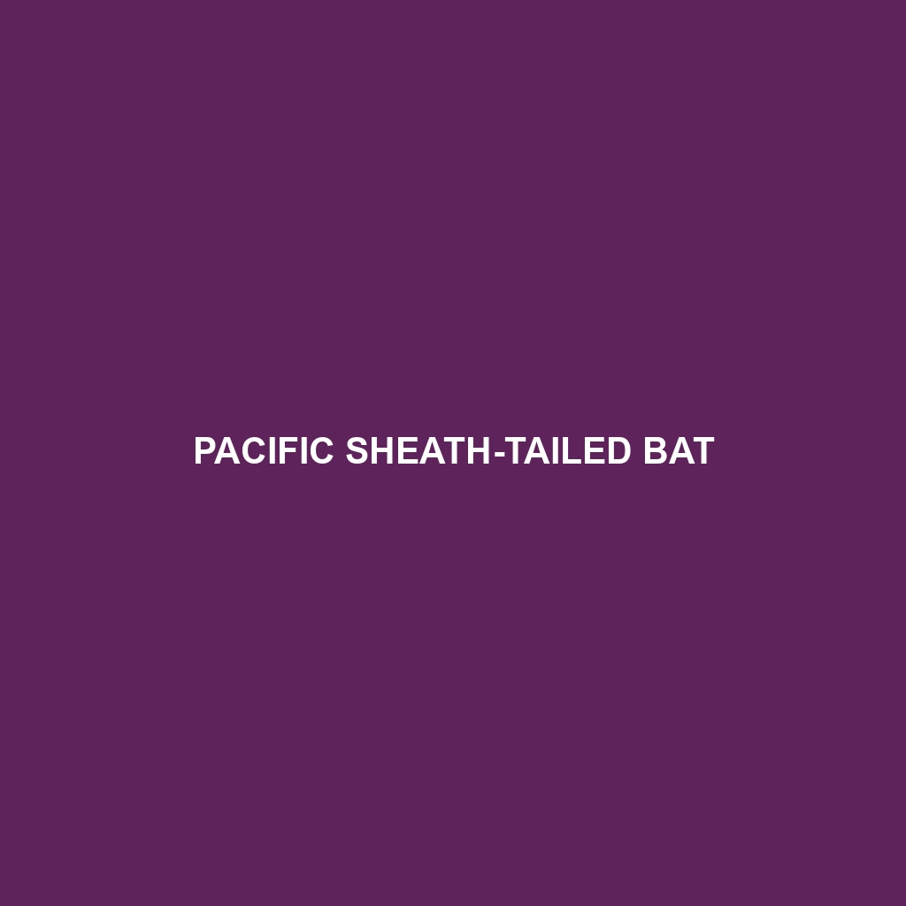 Pacific Sheath-tailed Bat