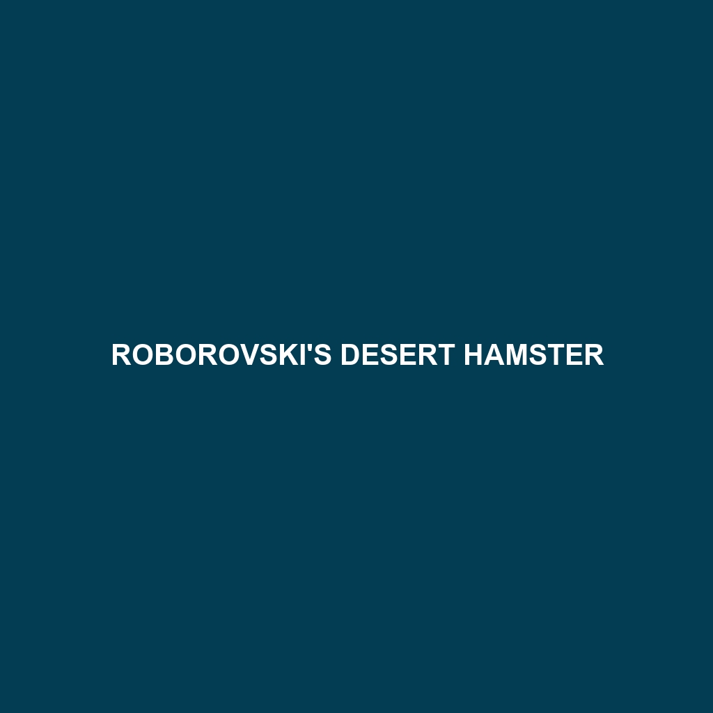 Roborovski's Desert Hamster