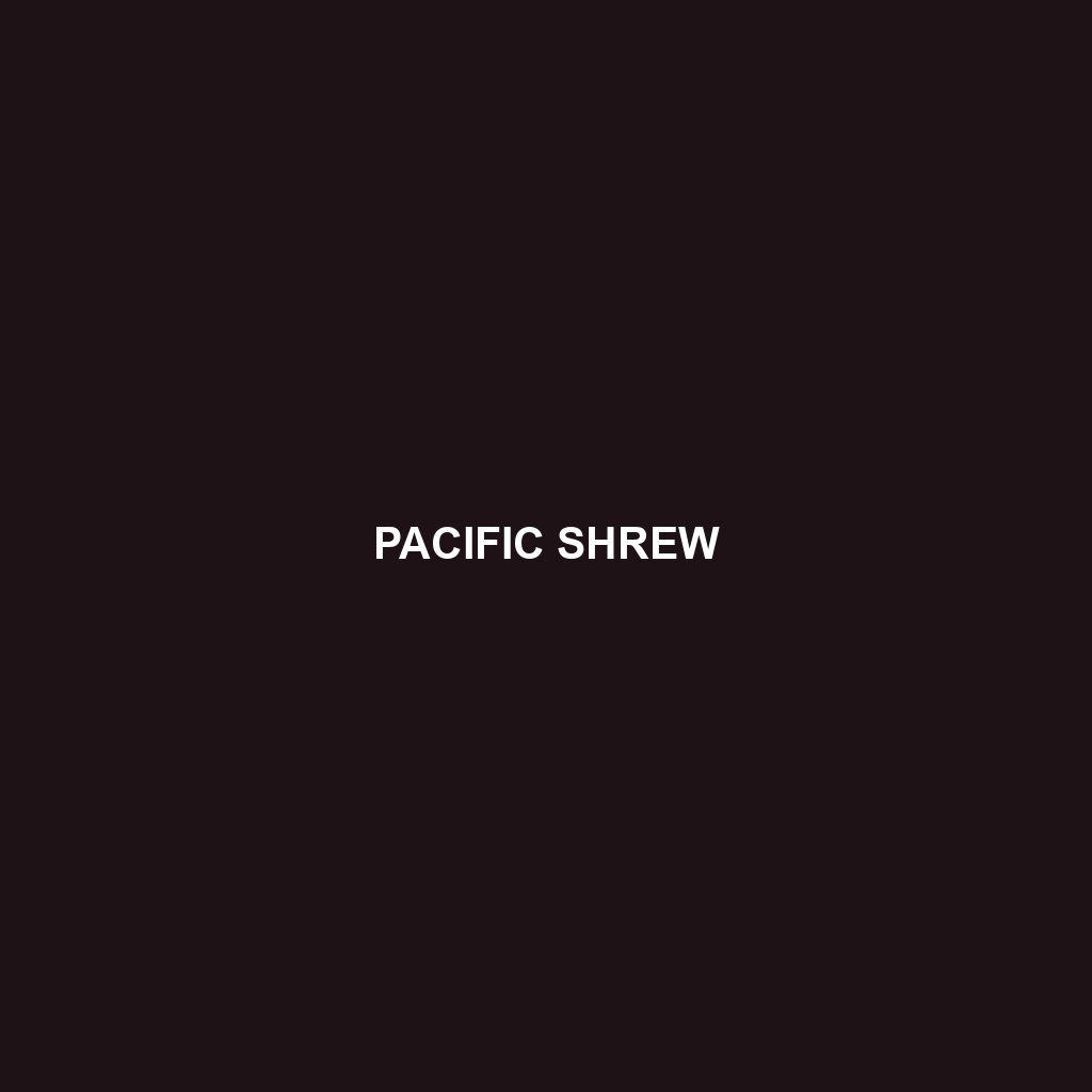 Pacific Shrew