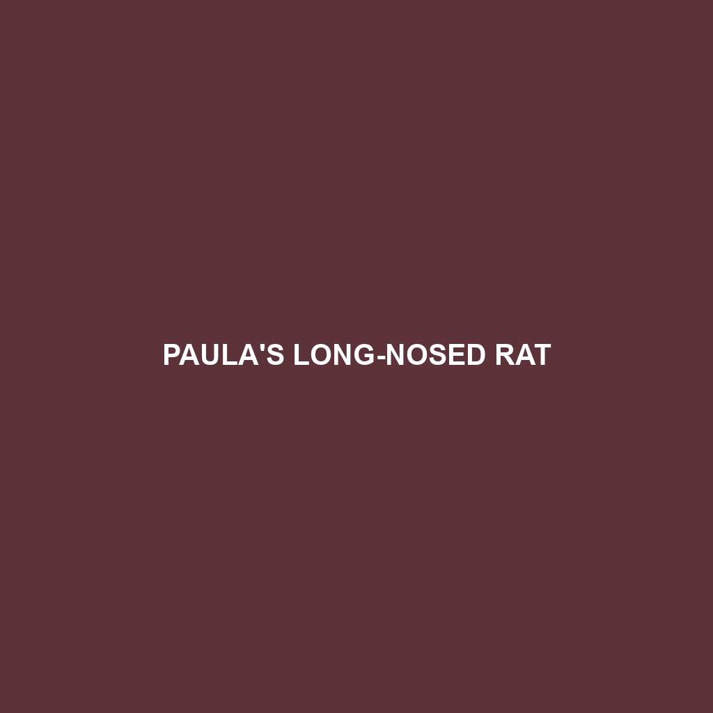 Paula's Long-nosed Rat