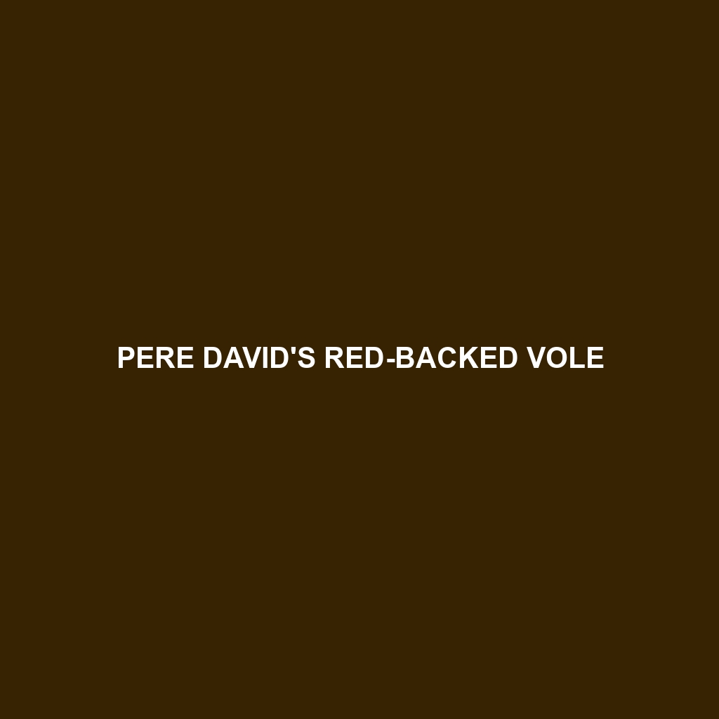 Pere David's Red-backed Vole