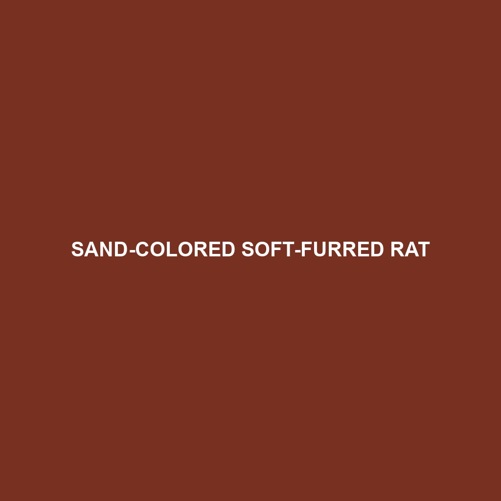 Sand-colored Soft-furred Rat