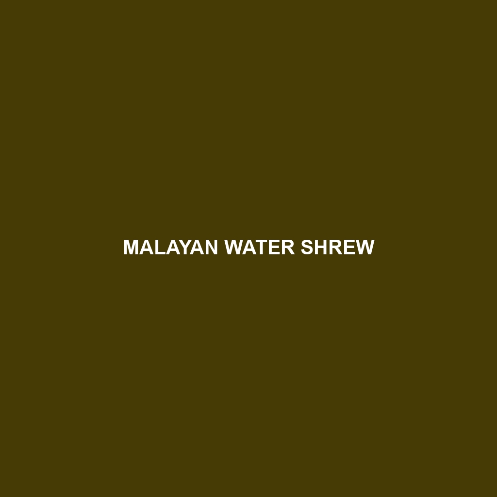 Malayan Water Shrew