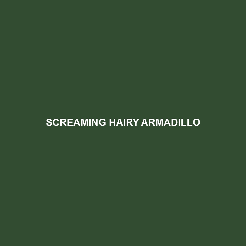 Screaming Hairy Armadillo