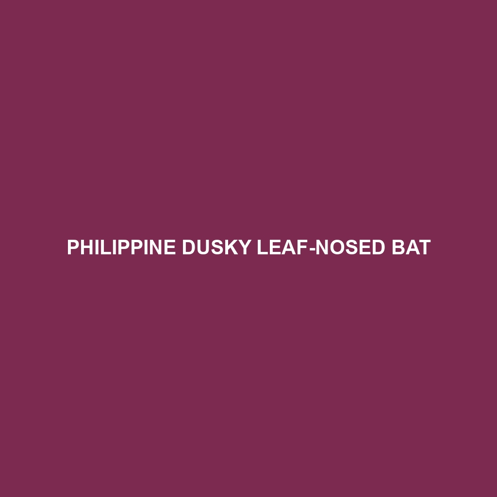 Philippine Dusky Leaf-nosed Bat