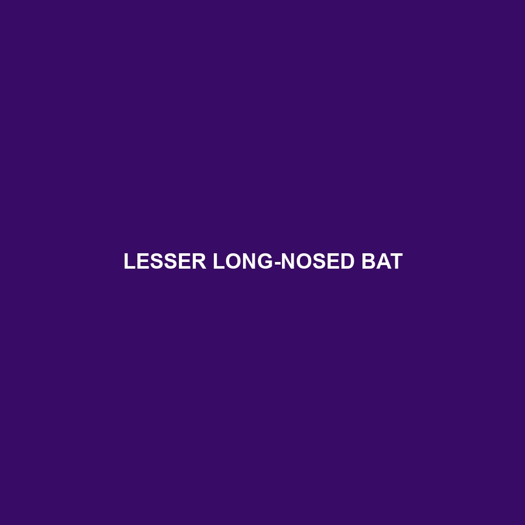 Lesser Long-nosed Bat