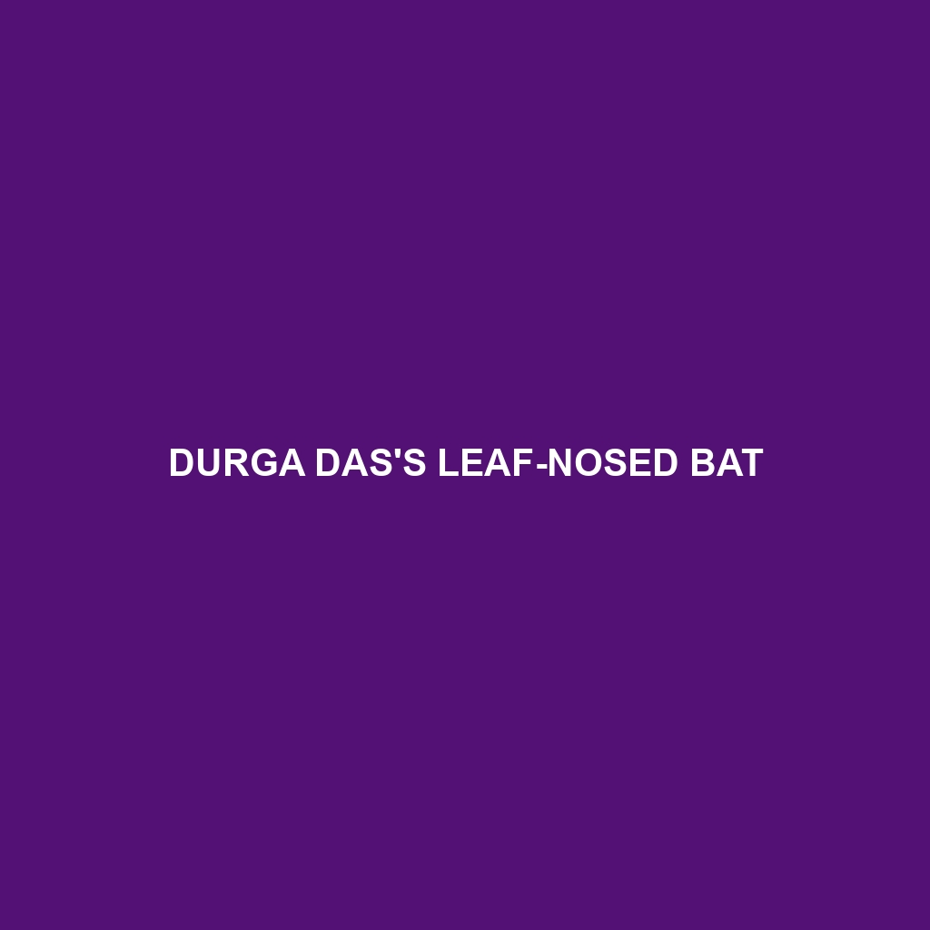 Durga Das's Leaf-nosed Bat