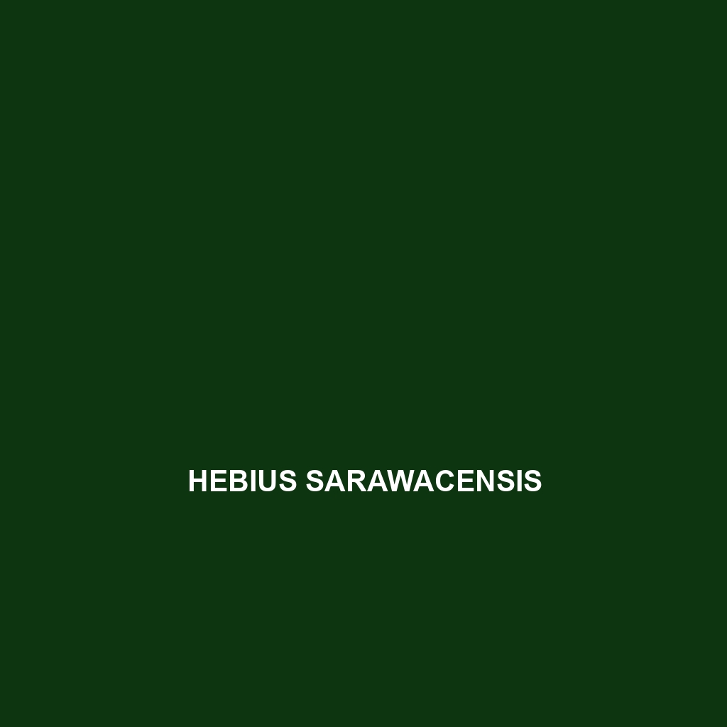 Hebius sarawacensis