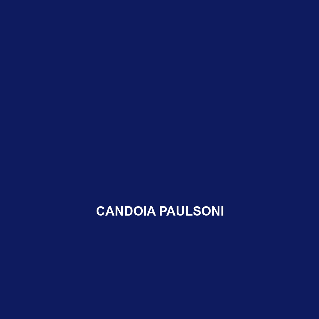 Candoia paulsoni