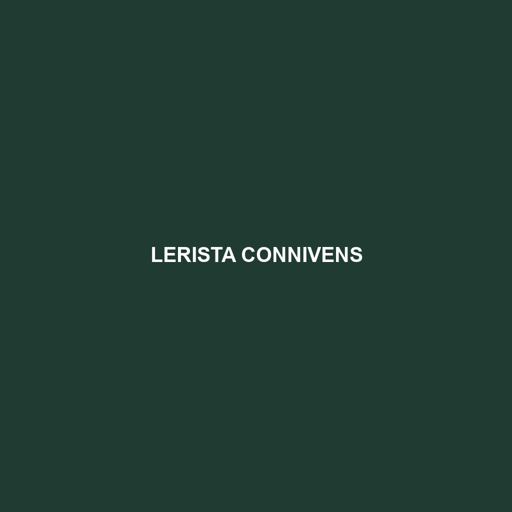 Lerista connivens