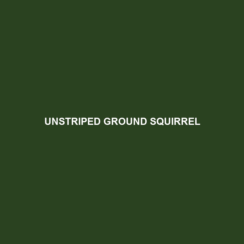 Unstriped Ground Squirrel