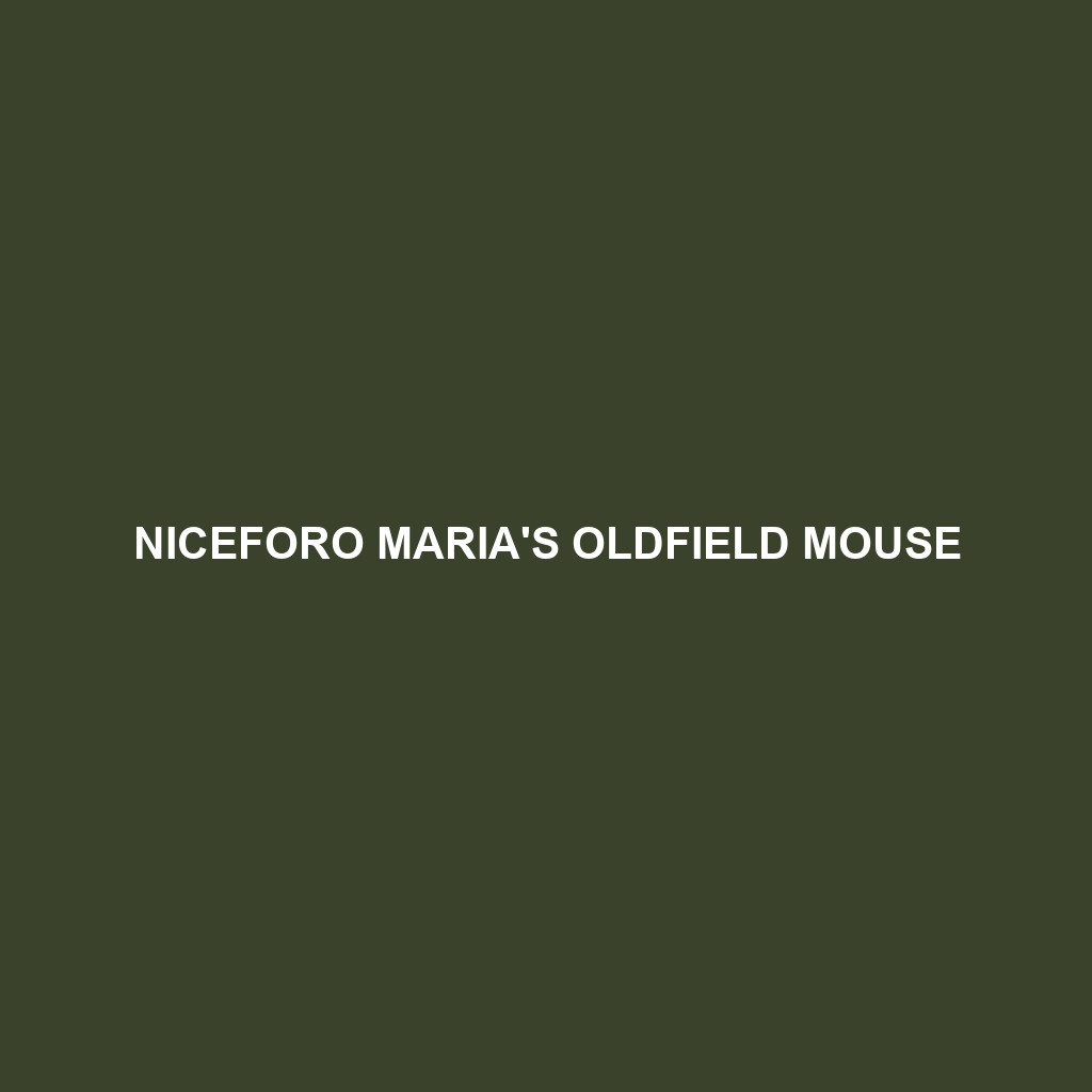 Niceforo Maria's Oldfield Mouse