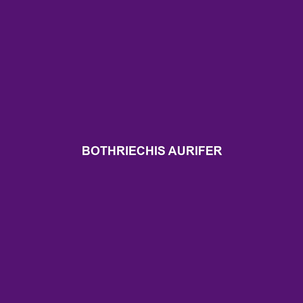 Bothriechis aurifer