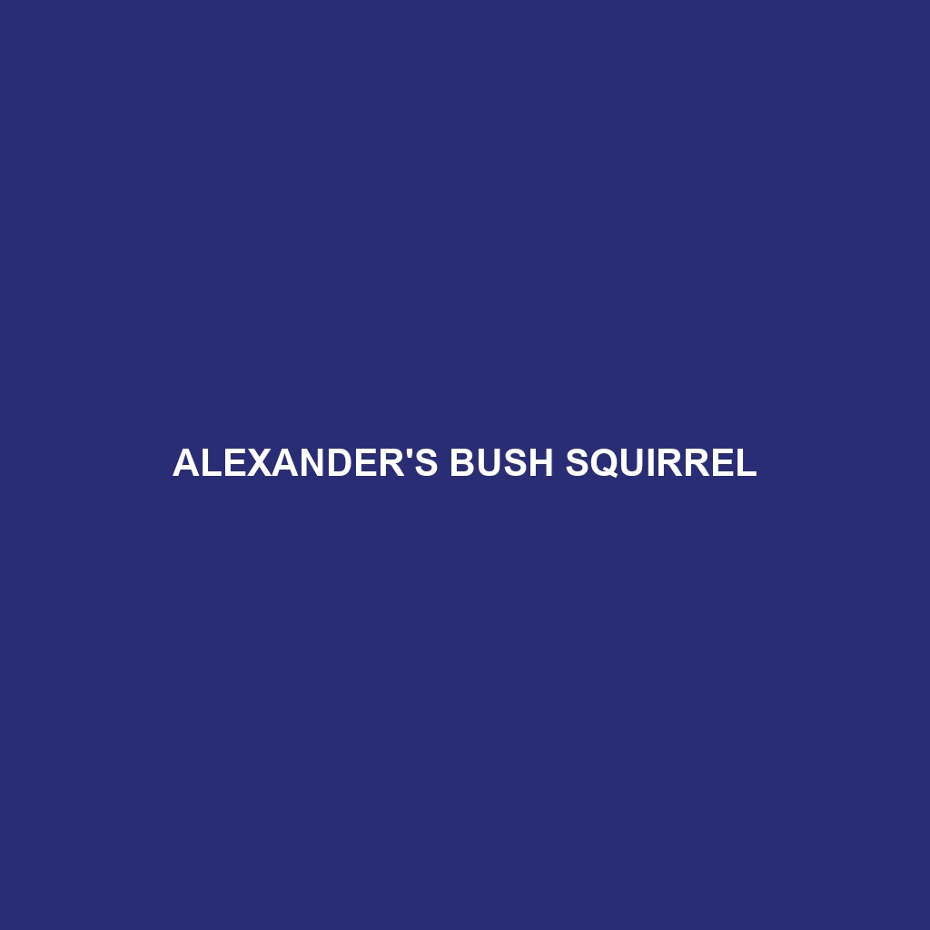 Alexander's Bush Squirrel