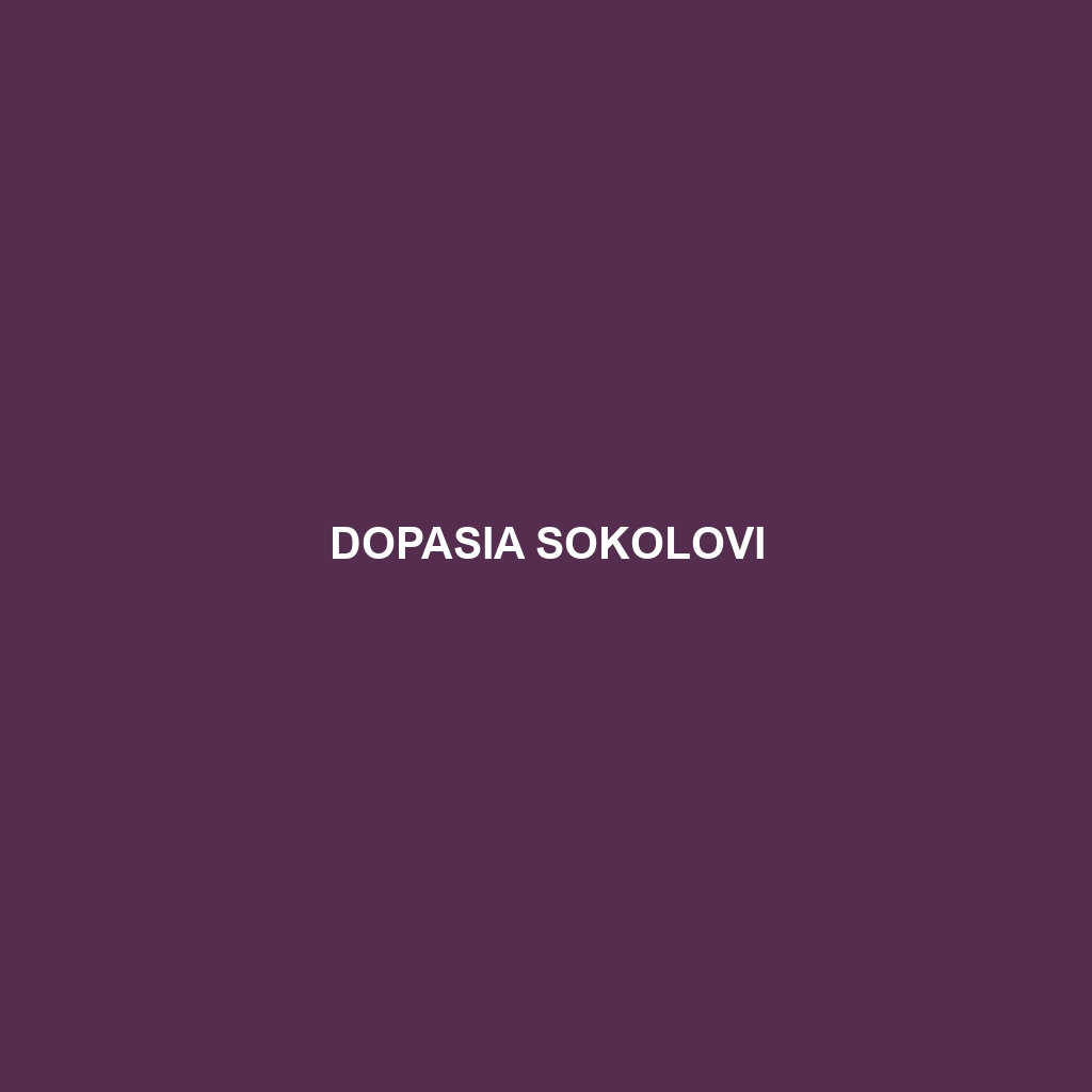 Dopasia sokolovi