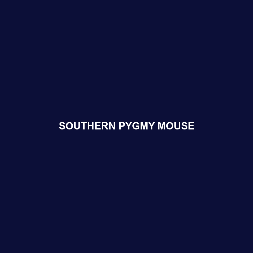 Southern Pygmy Mouse