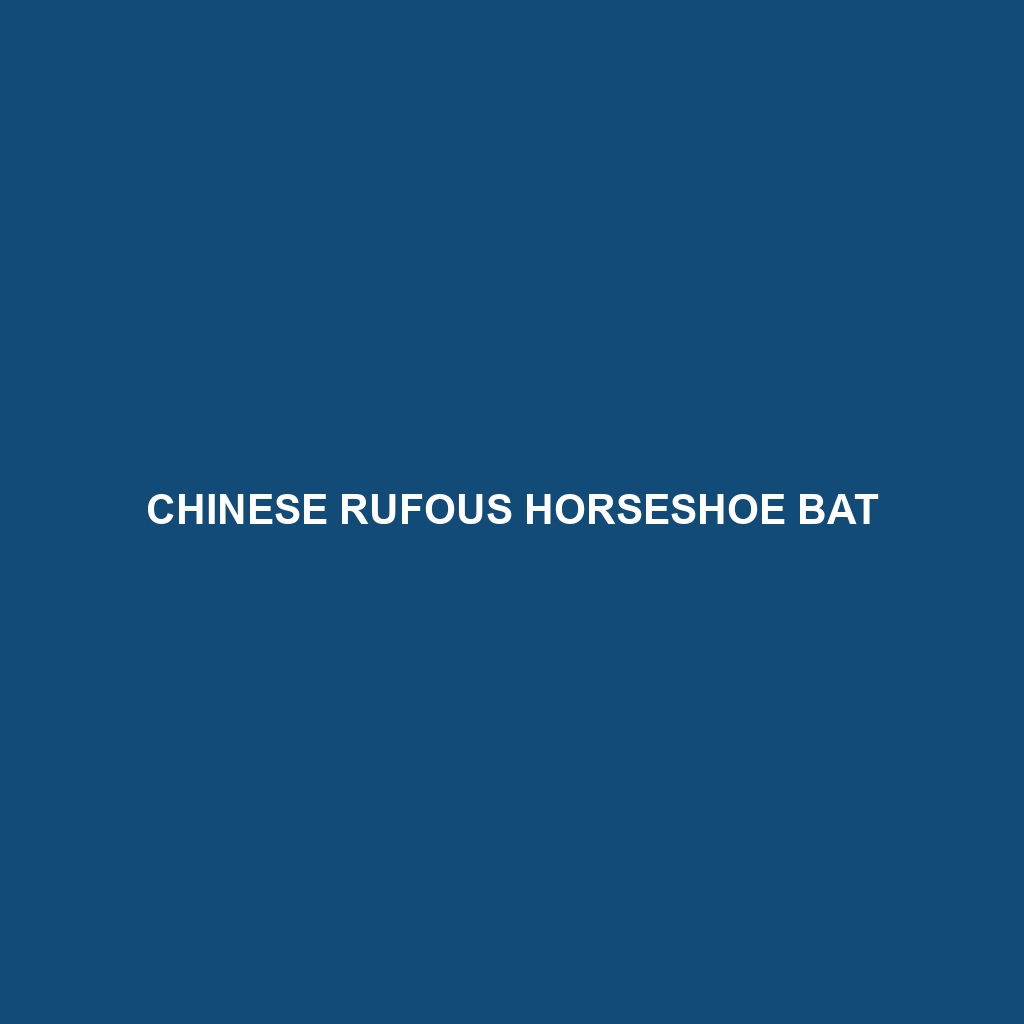 Chinese Rufous Horseshoe Bat