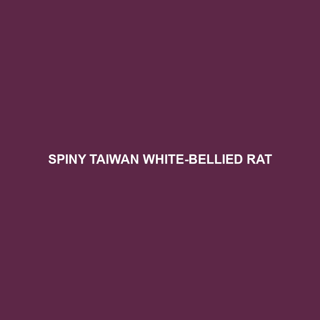 Spiny Taiwan White-bellied Rat