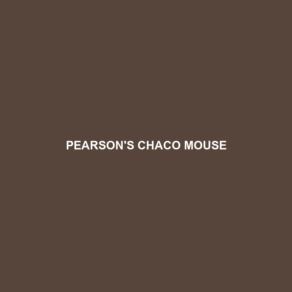 Pearson's Chaco Mouse